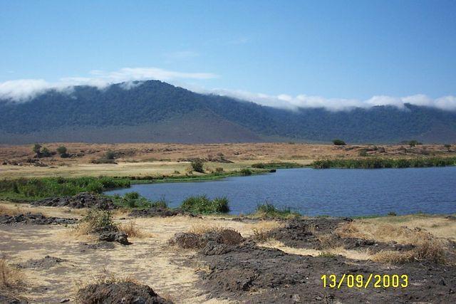 tz_photos0105.jpg